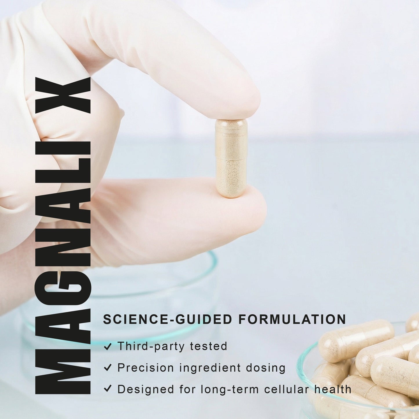 Magnali Longevity Protocol | Complete Longevity System